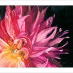 Best of Show, Susan Dolder, Pink Flame, Watercolor Pencil