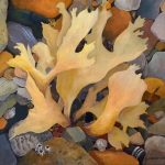 Lucy Jane Webster, Beach Gleanings, oil on linen