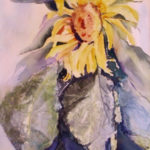 Kay Kocher, Sunflower, watercolor