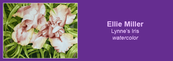 Ellie Miller, Lynne's Iris, watercolor