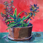 Brenda Hofbauer, Succulents, paper collage