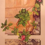 Mary Mossing Krueger, Seed Sown On the Rocky Soil, Colored Pencil